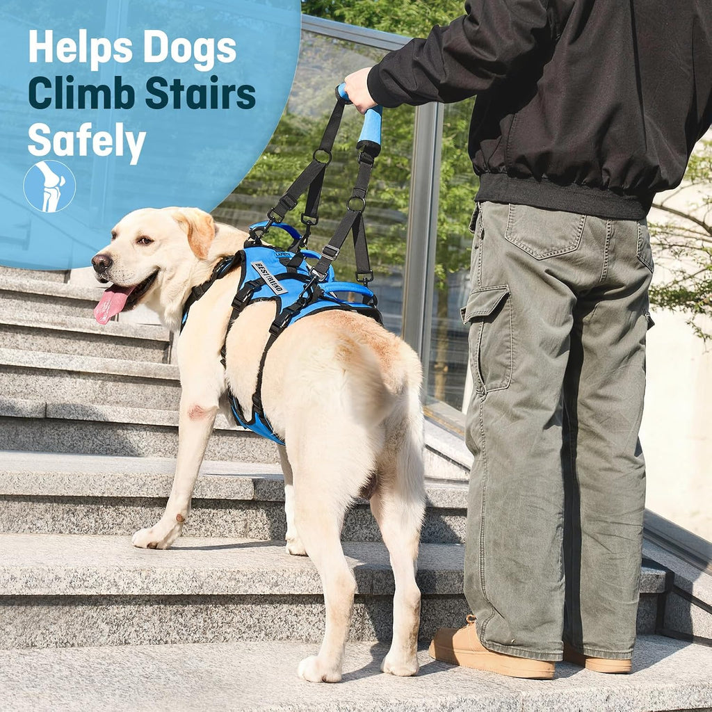 Dog Lift Harness for Large Dogs, Full Body Support Sling with Shoulder Strap and 3 Handles, Support Vest for Senior Dogs with Arthritis or Joint Issues, Help Up and Down Stairs, Blue, Large