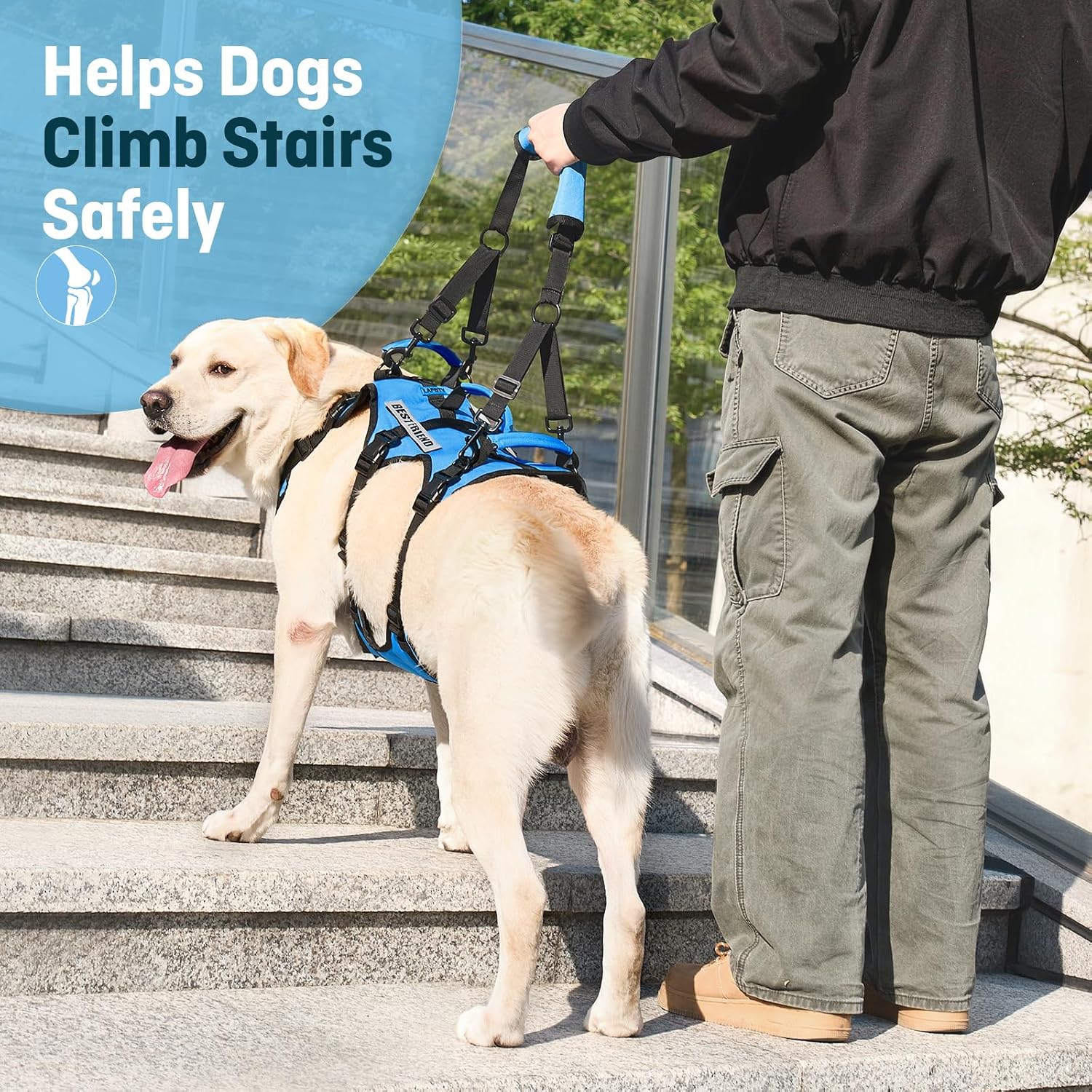 Dog Lift Harness for Large Dogs, Full Body Support Sling with Shoulder Strap and 3 Handles, Support Vest for Senior Dogs with Arthritis or Joint Issues, Help Up and Down Stairs, Blue, Large