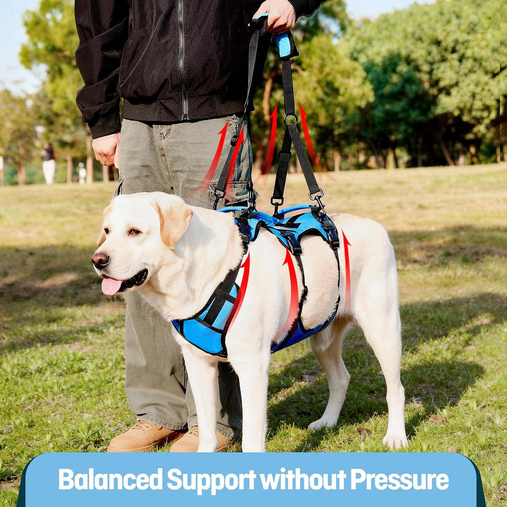 Dog Lift Harness for Large Dogs, Full Body Support Sling with Shoulder Strap and 3 Handles, Support Vest for Senior Dogs with Arthritis or Joint Issues, Help Up and Down Stairs, Blue, Large