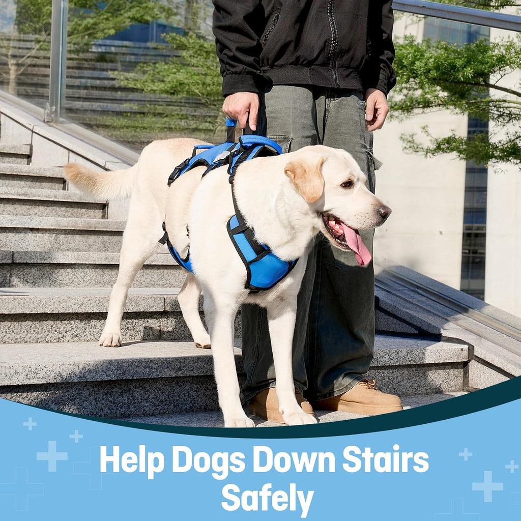 Dog Lift Harness for Large Dogs, Full Body Support Sling with Shoulder Strap and 3 Handles, Support Vest for Senior Dogs with Arthritis or Joint Issues, Help Up and Down Stairs, Blue, Large