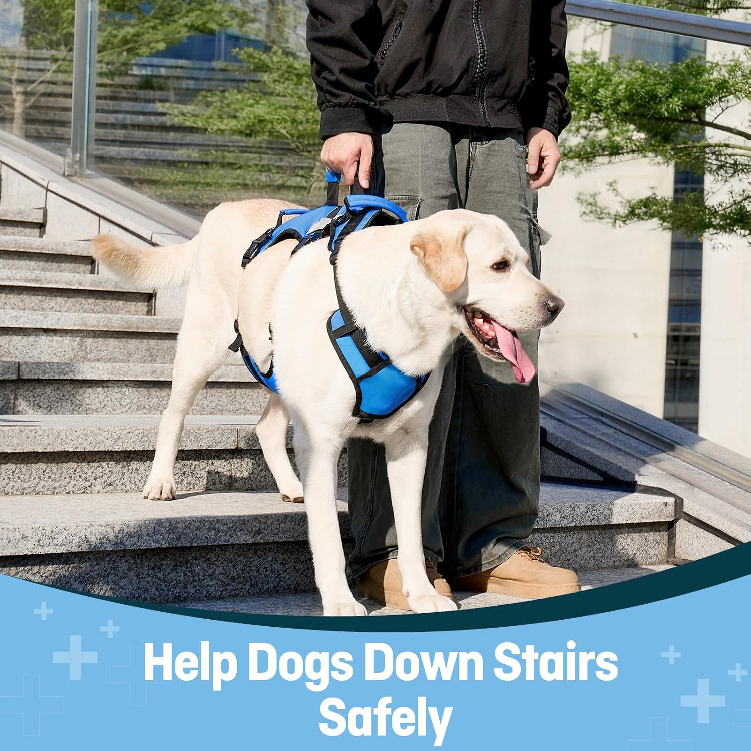 Dog Lift Harness for Large Dogs, Full Body Support Sling with Shoulder Strap and 3 Handles, Support Vest for Senior Dogs with Arthritis or Joint Issues, Help Up and Down Stairs, Blue, Large