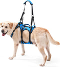 Dog Lift Harness for Large Dogs, Full Body Support Sling with Shoulder Strap and 3 Handles, Support Vest for Senior Dogs with Arthritis or Joint Issues, Help Up and Down Stairs, Blue, Large
